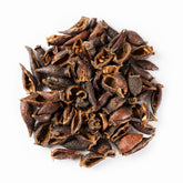 Cherokee Rose Fruit / Jin Ying Zi 16oz
